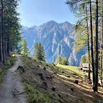 Jungtalblick Eggeri By Interhome Grächen