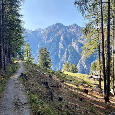 Jungtalblick Eggeri By Interhome Grächen