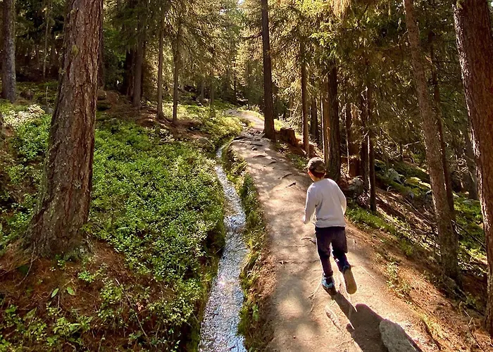 Jungtalblick Eggeri By Interhome *